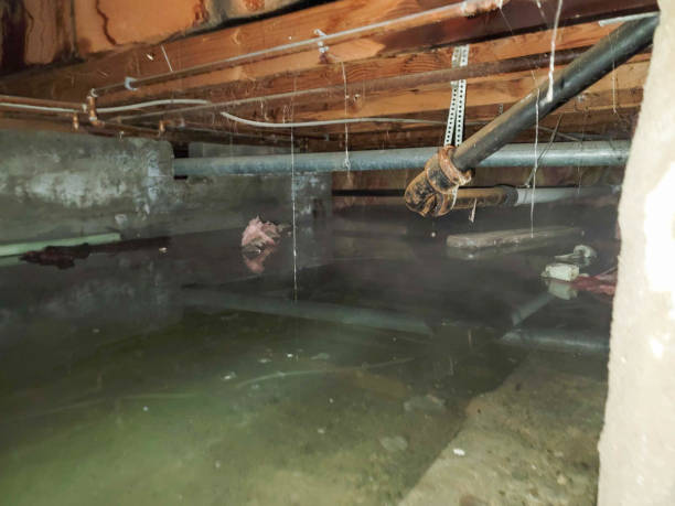 Best Residential water damage restoration  in Glendora, NJ