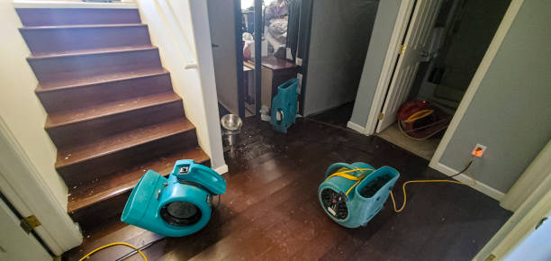 Best Local water damage restoration  in Glendora, NJ