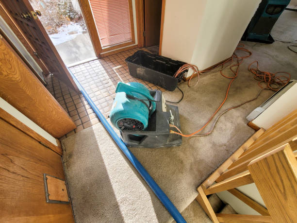 Best Water damage contractors near me  in Glendora, NJ