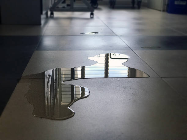 Best Water damage cleanup near me  in Glendora, NJ