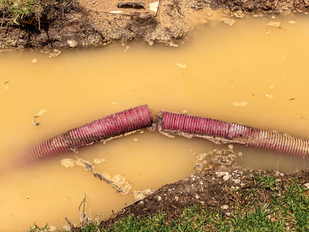 Best Flood restoration services  in Glendora, NJ